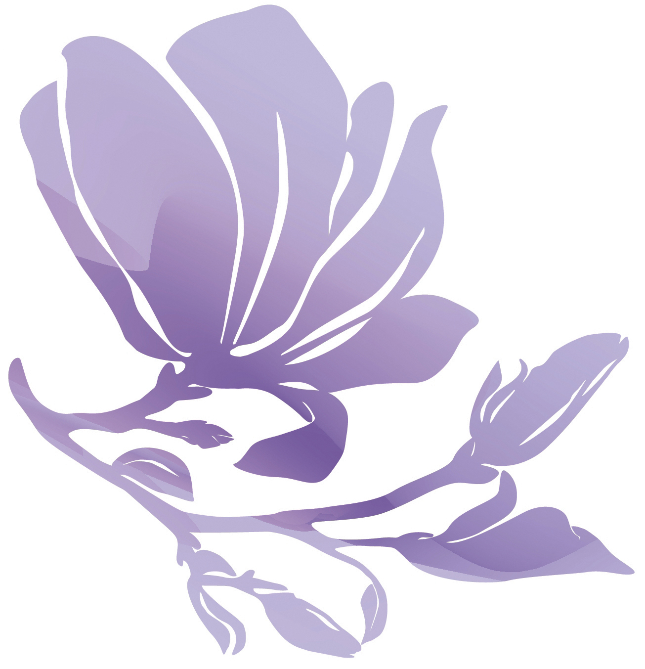 Magiray logo
